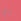 neon pink